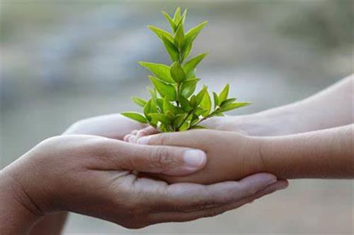 Gieo điều tử tế, gặt phúc an yên