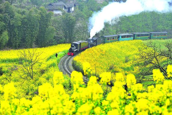 Truyện ngắn: Gặp lại anh người con trai đất Quảng