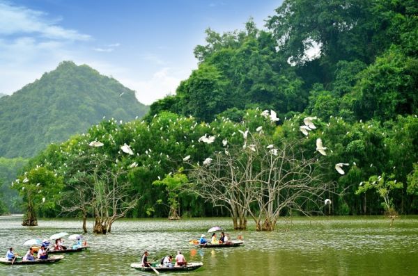 Đến Thung Nham, ngắm hang động kỳ bí, vườn chim lớn nhất miền Bắc