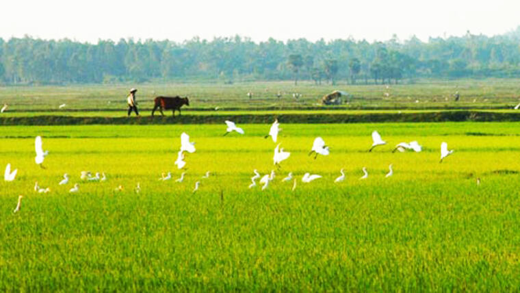 Đề kiểm tra giữa học kỳ 2 môn Ngữ văn lớp 2024 – 2025 (Trường TH – THCS – THPT Chu Văn An)