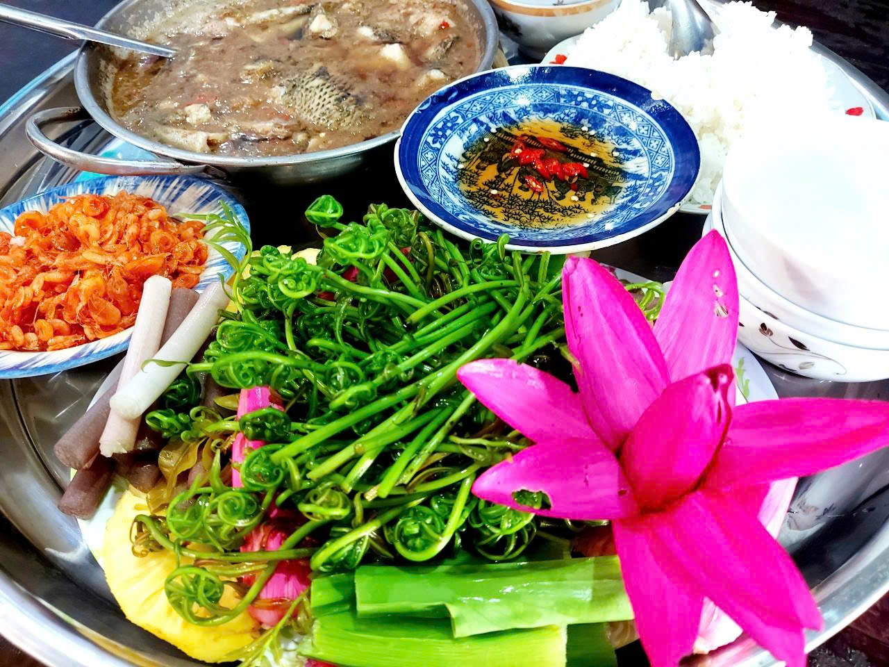 Đọt choại – đặc sản dân dã miền Tây, từ rau dại thành “thần dược” trên mâm cơm