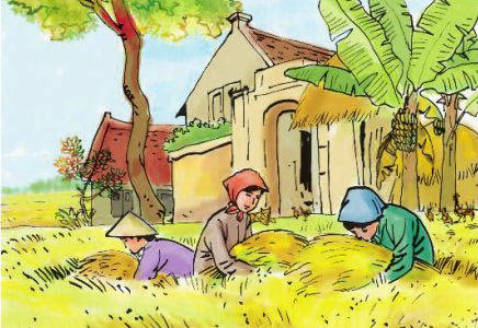 Tản văn: Giọt mồ hôi của mẹ