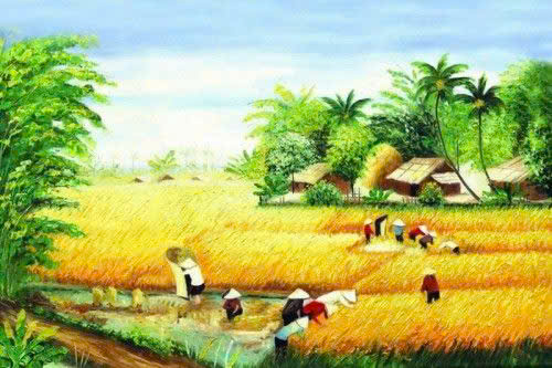 Tản văn: Ký ức tuổi thơ tôi