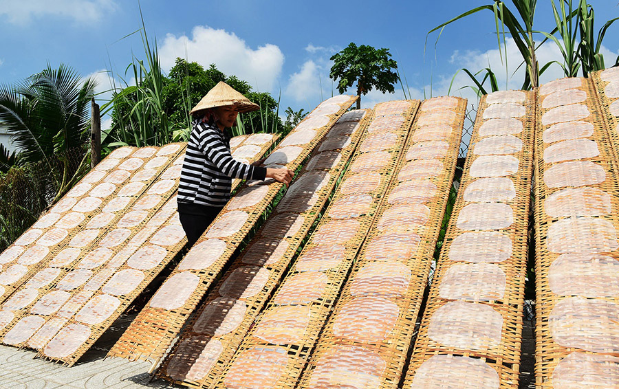 Làng nghề bánh tráng Trảng Bàng – Di sản văn hóa của người dân Nam Bộ