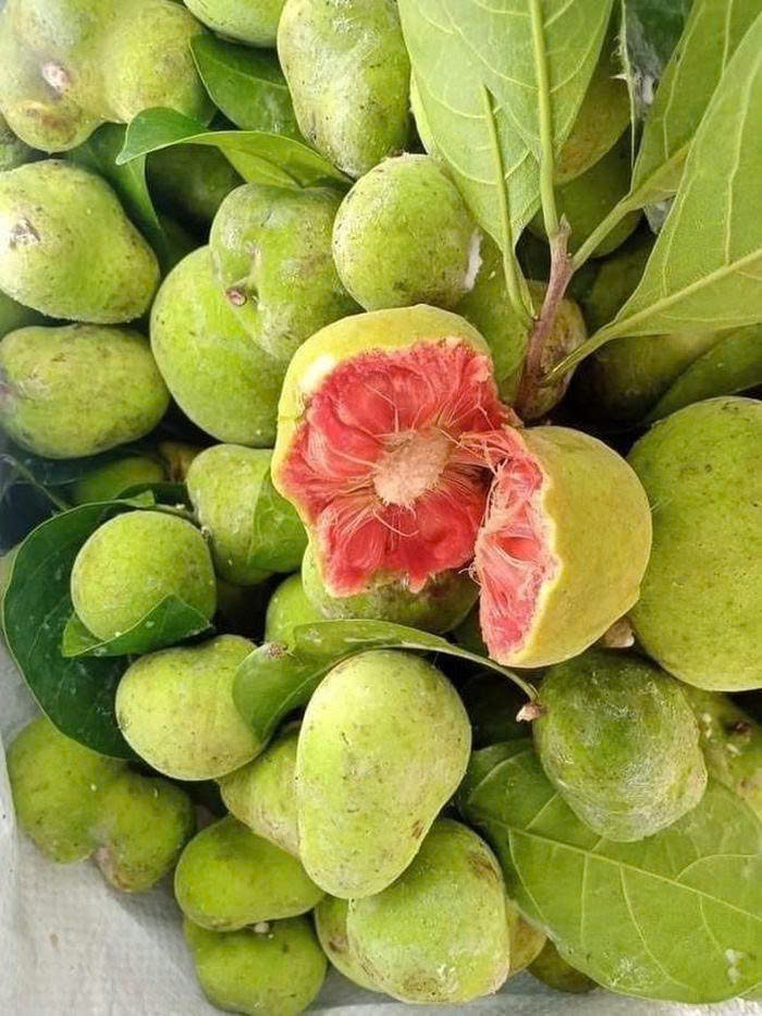 Cá kho quả chay – tinh hoa ẩm thực dân gian