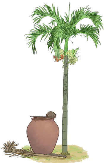 Tản văn: Ký ức tuổi thơ