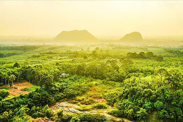 Tản văn: Mưa Tây Nguyên