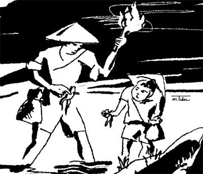 Món ngon: Ếch oàng Bình Thuận