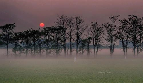 Đề khảo sát chất lượng học kỳ 1 môn Ngữ văn 9 năm học 2024 – 2025  