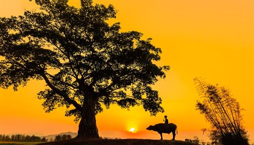 Hướng dẫn chấm đề kiểm tra chất lượng học sinh giỏi cấp huyện môn ngữ văn lớp 8 của tỉnh Bắc Giang