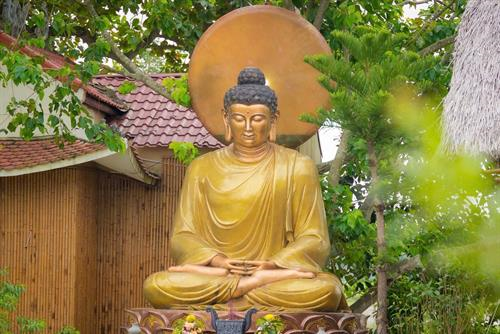 Chùa Mao Xá – Nốt lặng thanh tịnh giữa đồng quê xứ Thanh