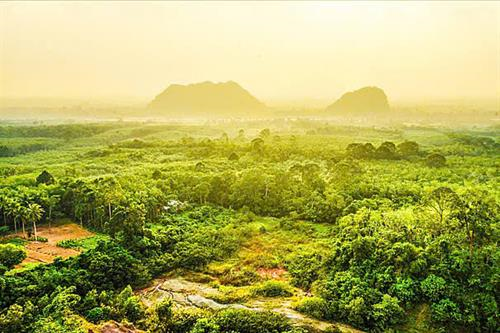 Tản văn: Mưa Tây Nguyên