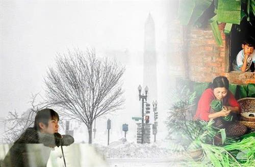 Tản văn: Rồi mùa xuân anh ấy sẽ về