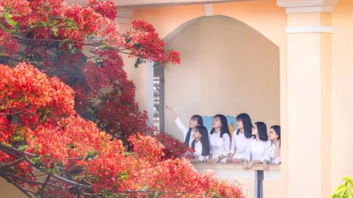 Tản văn: Chia tay mùa hè