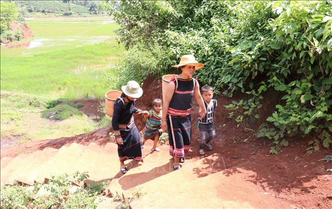 Chiếc gùi trong đời sống văn hóa đồng bào Tây Nguyên