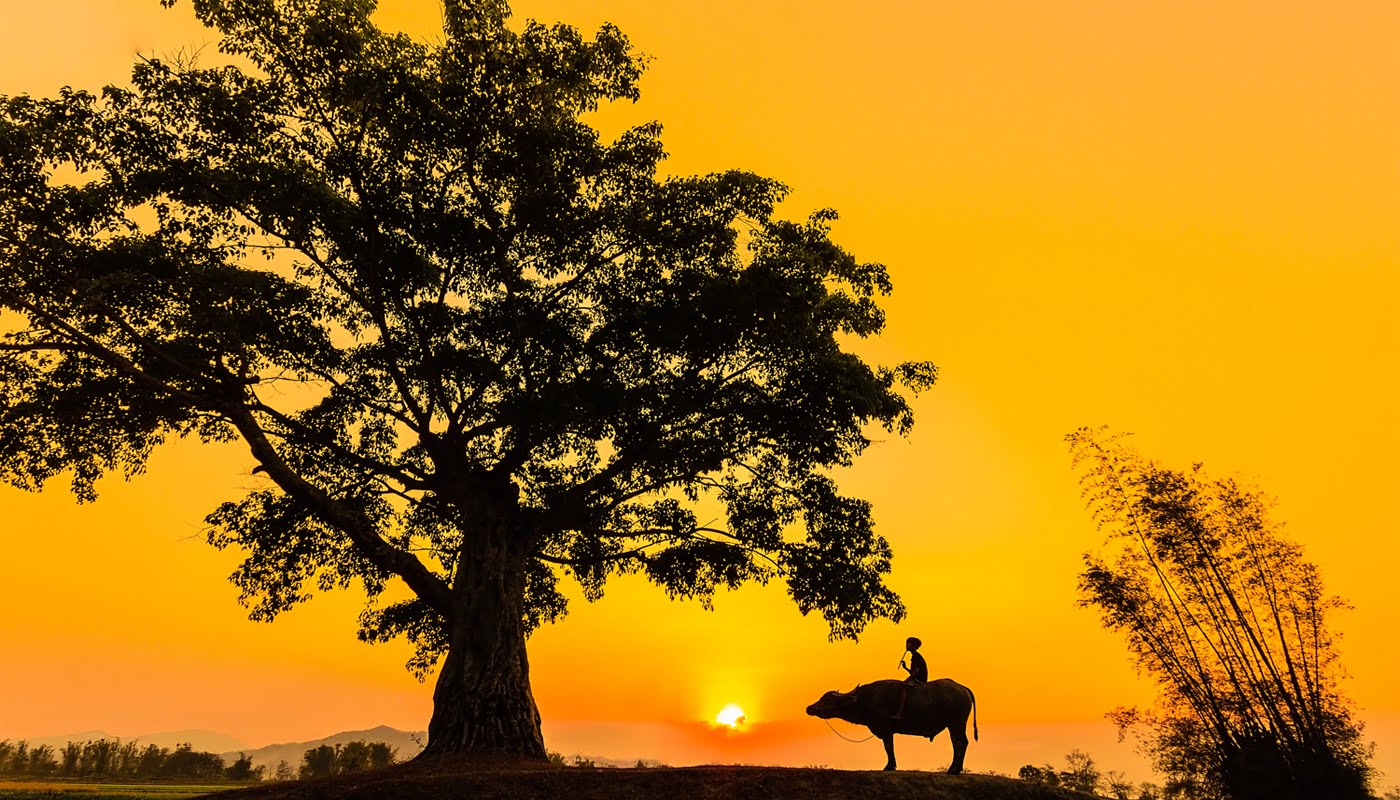 Hướng dẫn chấm đề kiểm tra chất lượng học sinh giỏi cấp huyện môn ngữ văn lớp 8 của tỉnh Bắc Giang