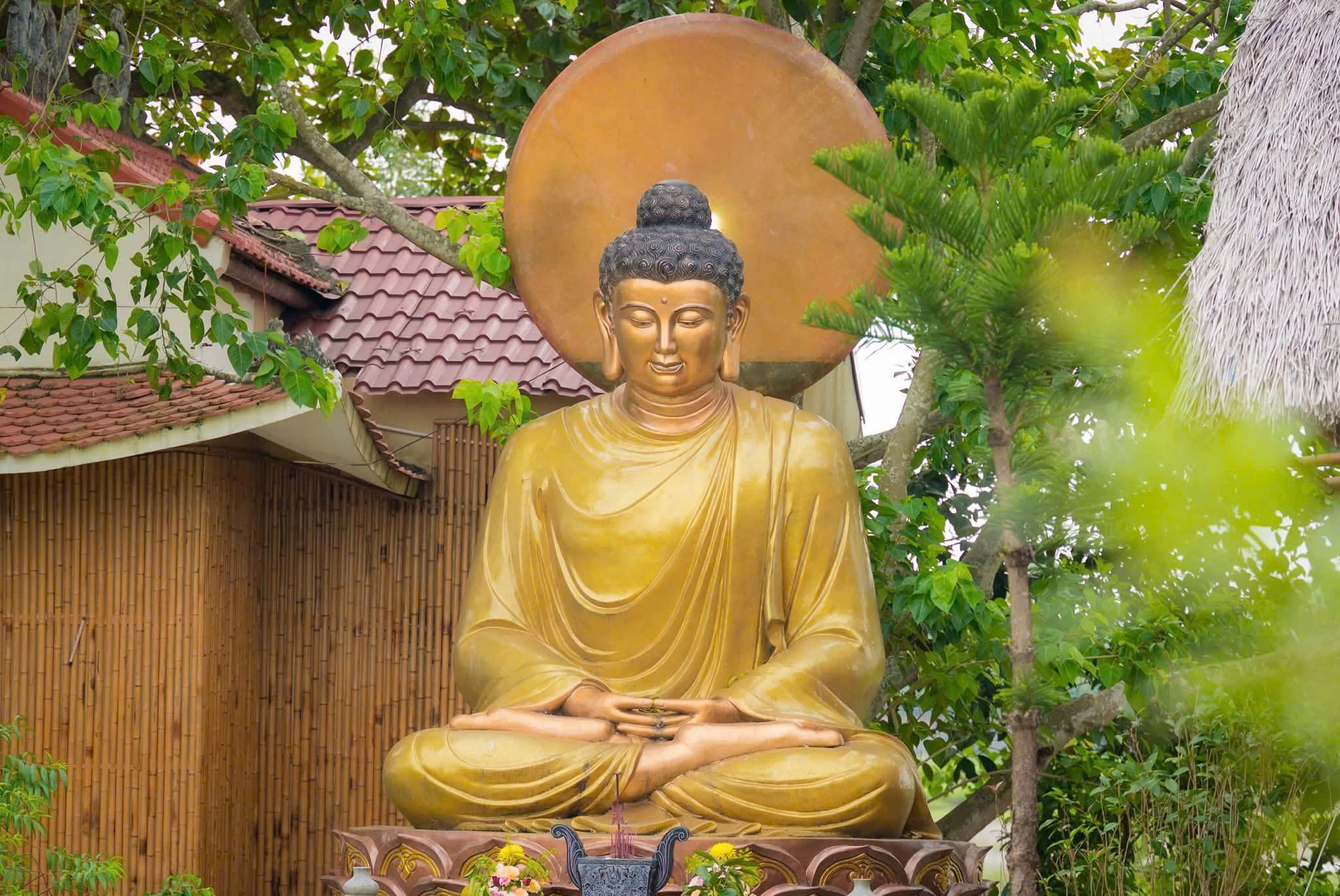 Chùa Mao Xá – Nốt lặng thanh tịnh giữa đồng quê xứ Thanh