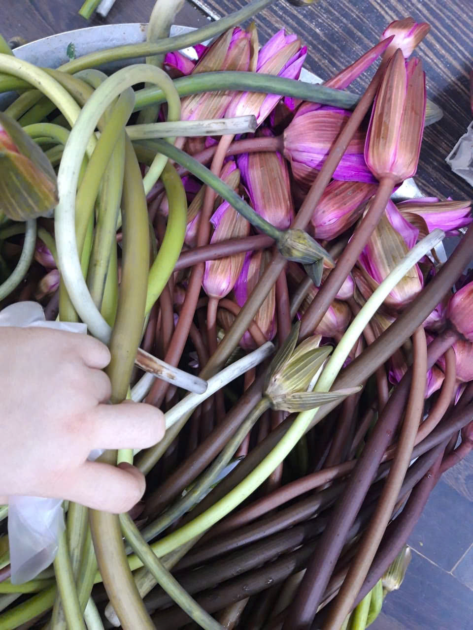 Canh súng Vũng Tàu