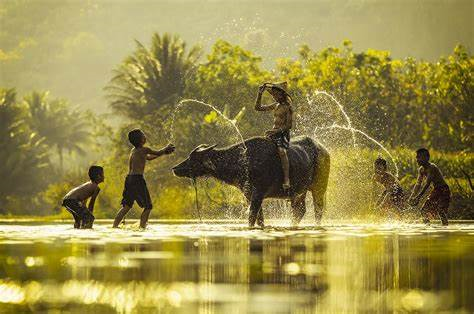 Tản văn: Tuổi thơ còn mãi