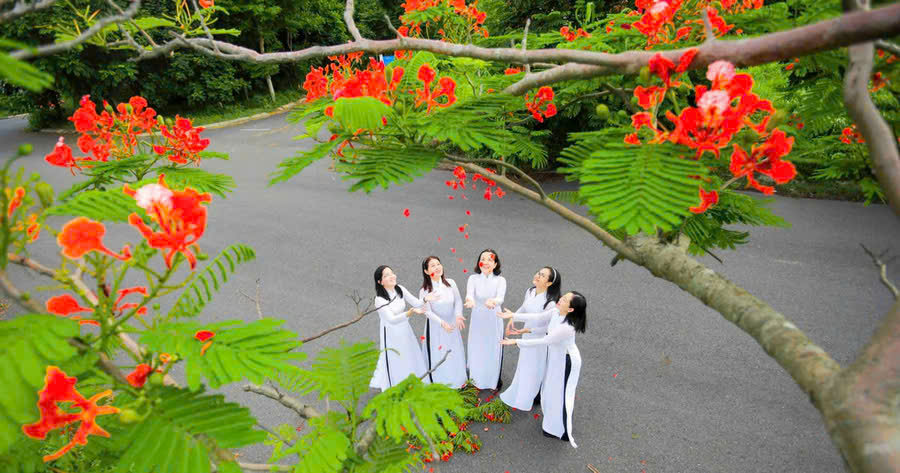 Tản văn: Chia tay tuổi học trò