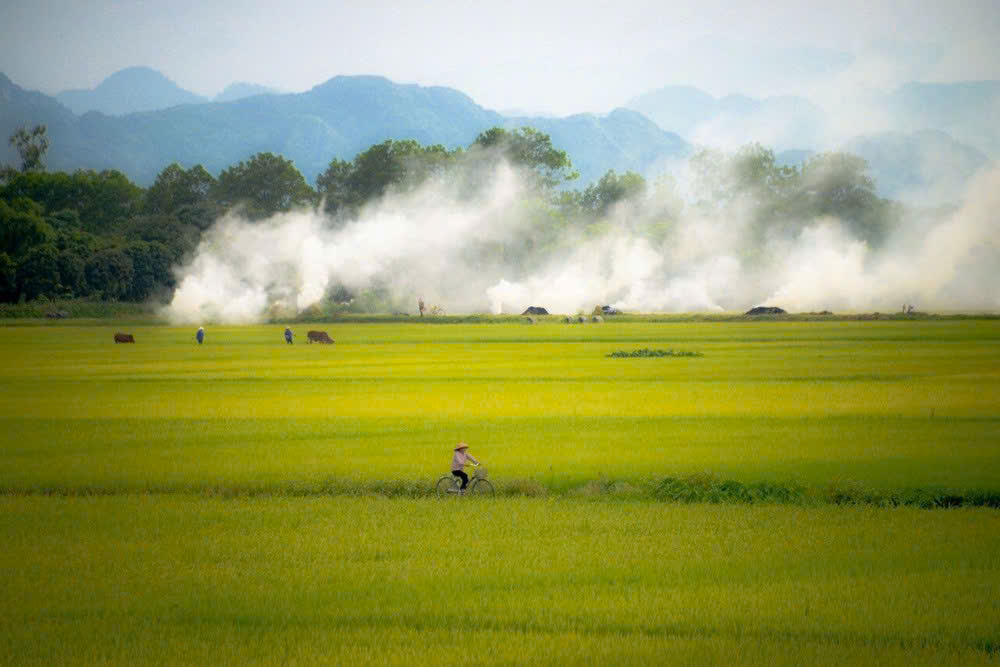Tản văn: Cảm xúc tháng Ba